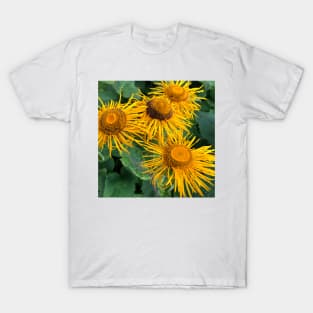 A frame full of Inula Sunflowers T-Shirt